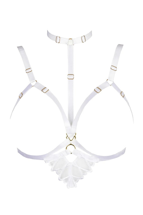 PrimaDonna Arthill Special Accessory